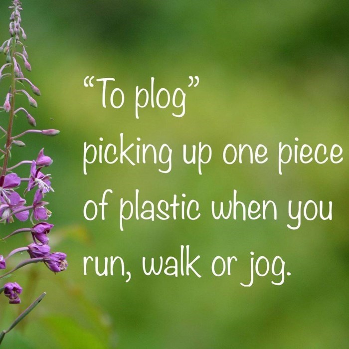 Plogging Pic