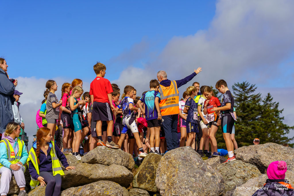 Tried and Tested YS 25-250