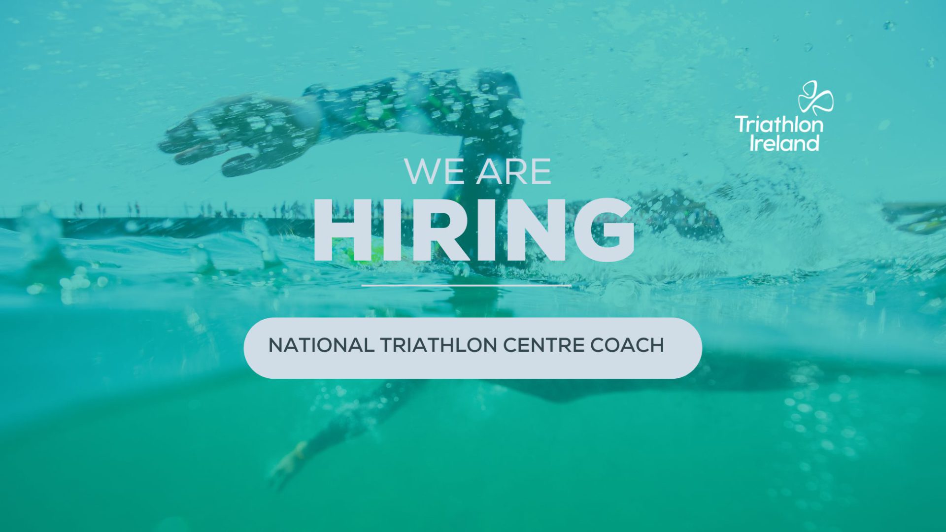 Triathlete swimming.