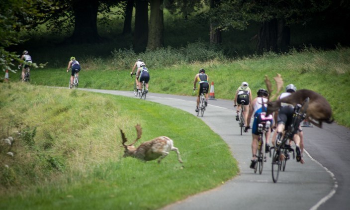 Triathlon Stag Crash – Happy Ending for Shane O’Reilly